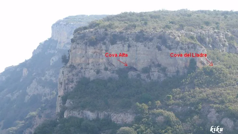 Cova Alta
