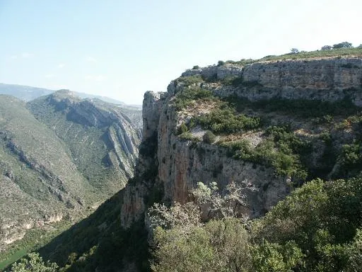 Coves del Mu