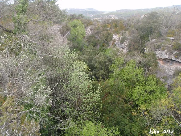 Avencots dels Motllats de la Pona