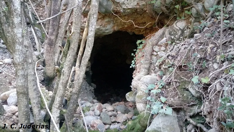 Botet d'Esplugafreda