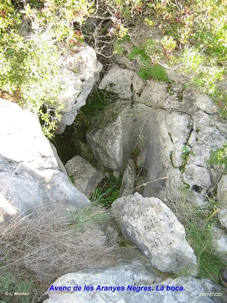 Avenc de les Aranyes Negres