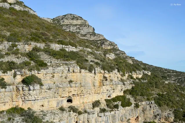 Cova Canó