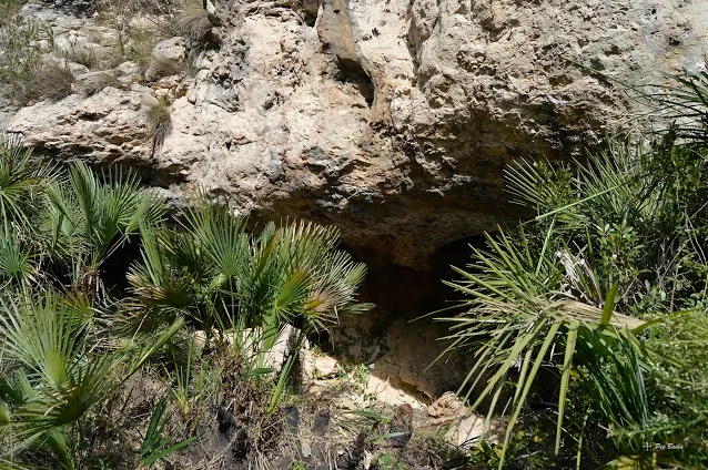 Cova de la Punta de la Barqueta