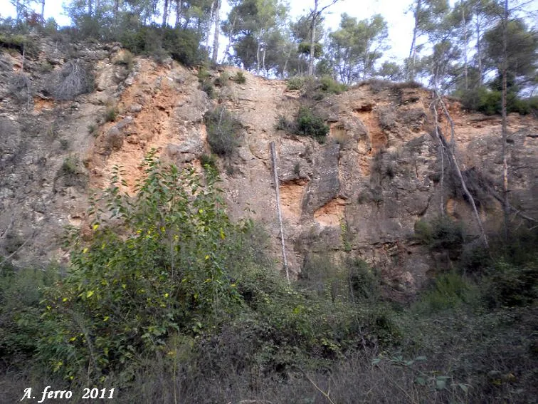 Cova Penjada de la Torre Negra