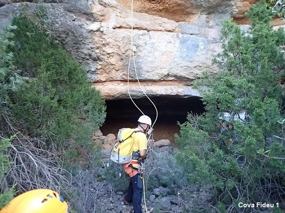 Coves de Fideu
