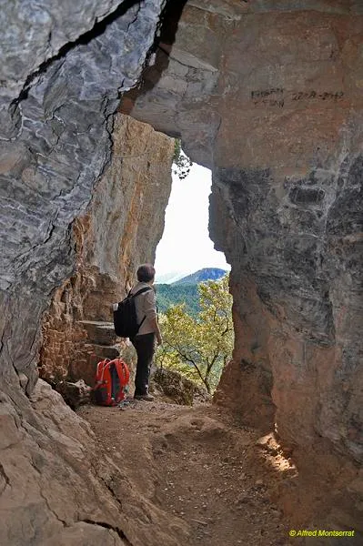 Cova de les Encantades