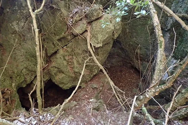 Cova d'Arnau