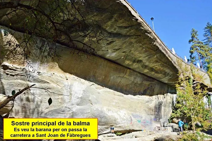 Balma dels Llims