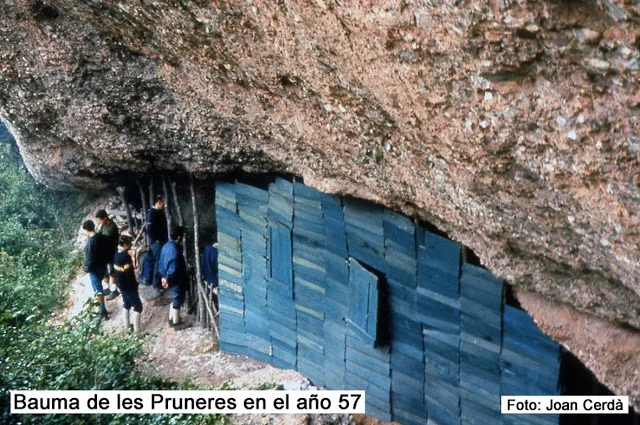Cova de les Pruneres