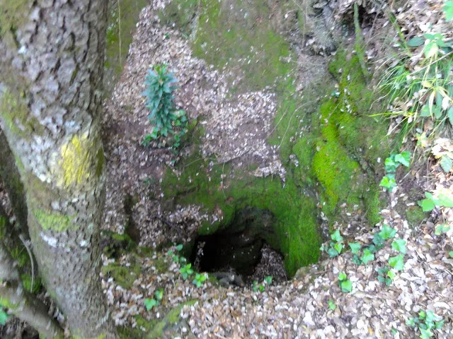 Avenc de la Barbotera