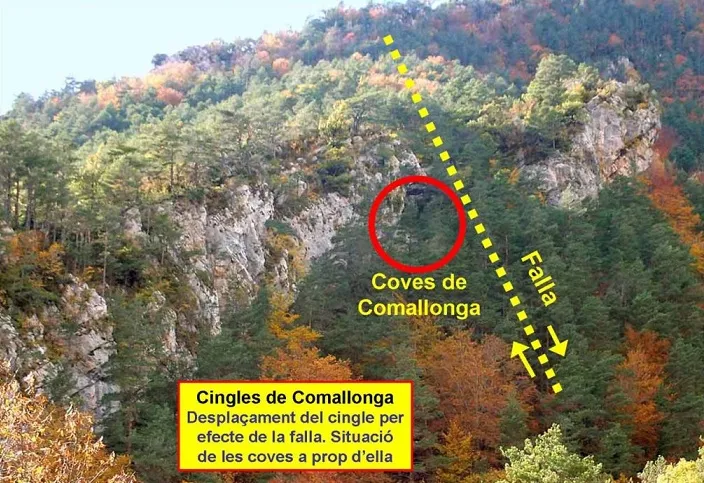 Cova Nº1 de Comallonga