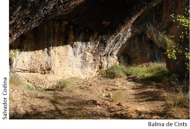 Balma de Cints