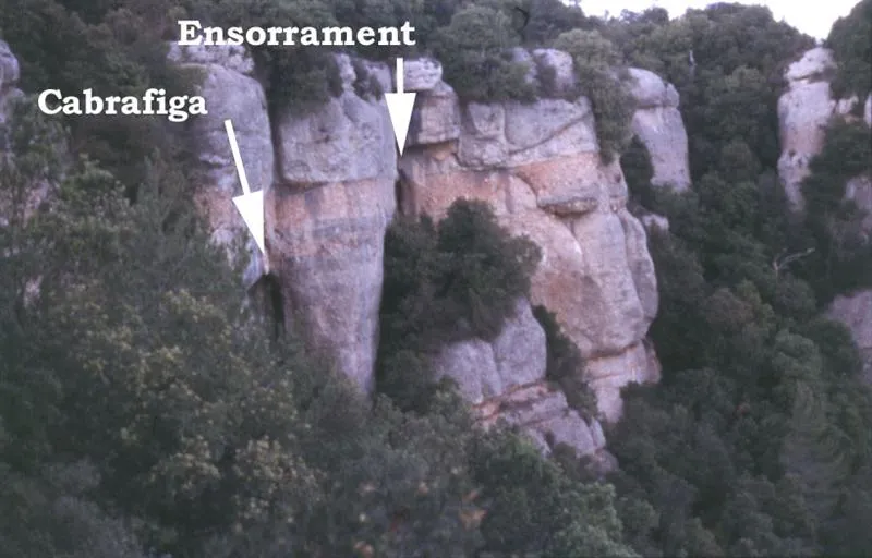 Cova de l'Ensorrament