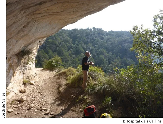 l'Hospital dels Carlins