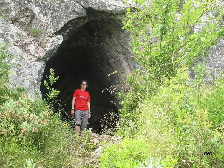 Cova de Vallmajor