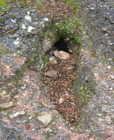 Avenc del Cuento