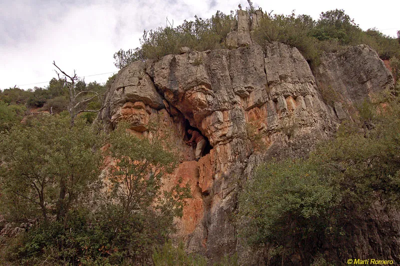 Cova M-1 de Montmany