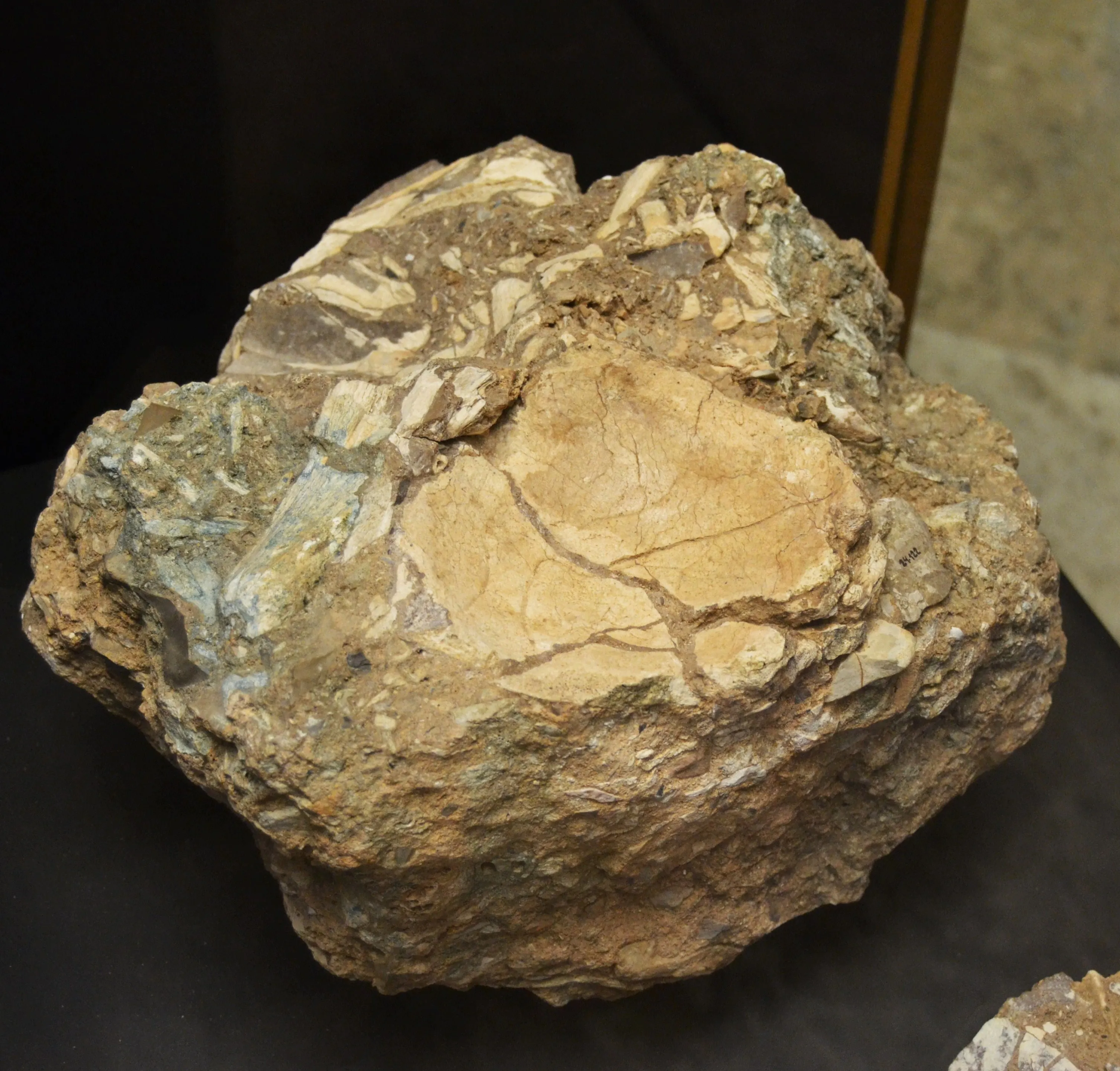 Cova del Bolomor