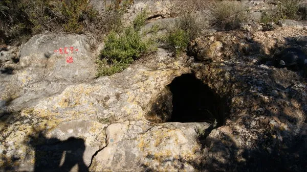 Cova del Garrofer