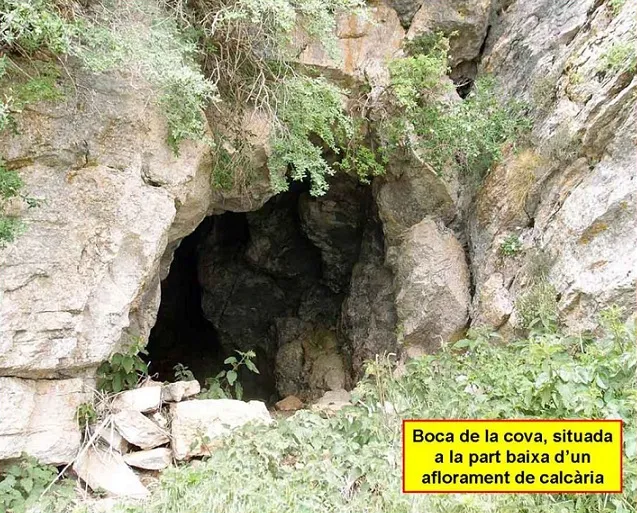 Cova d'en Vidabona