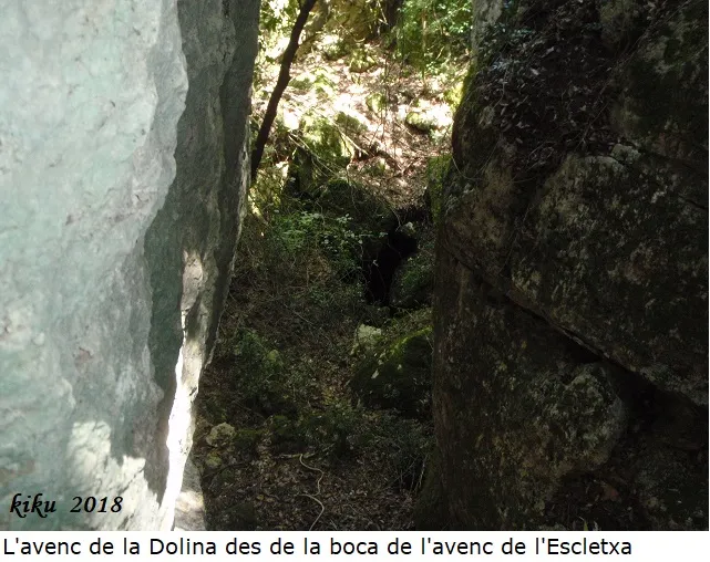 Avenc de la Dolina