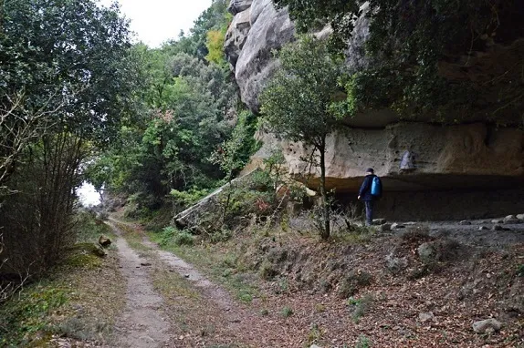 Balma Grossa de Monteis