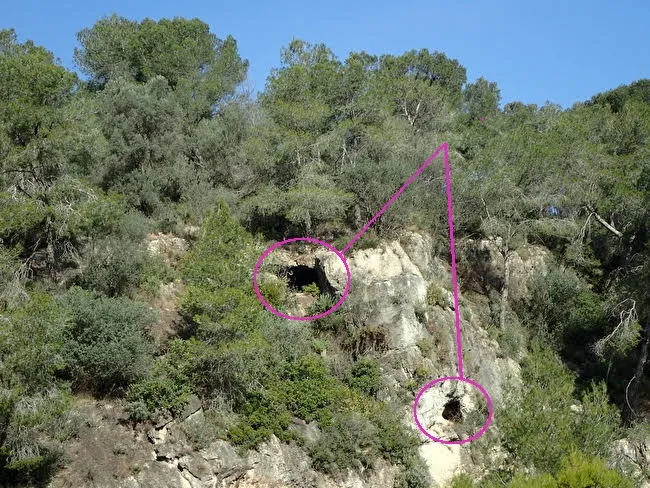 Cova del Cingle de Cal Duro