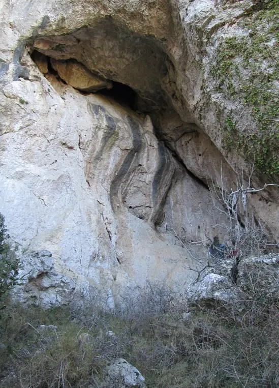 Cova del Colom