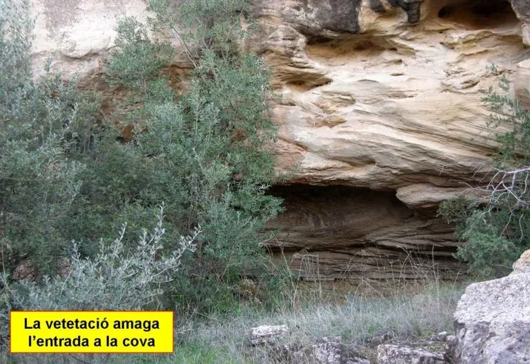 Cova de les Xintes