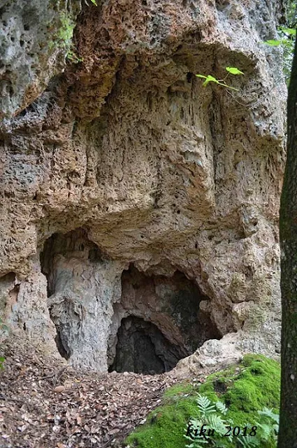Cova de l'Avellaner