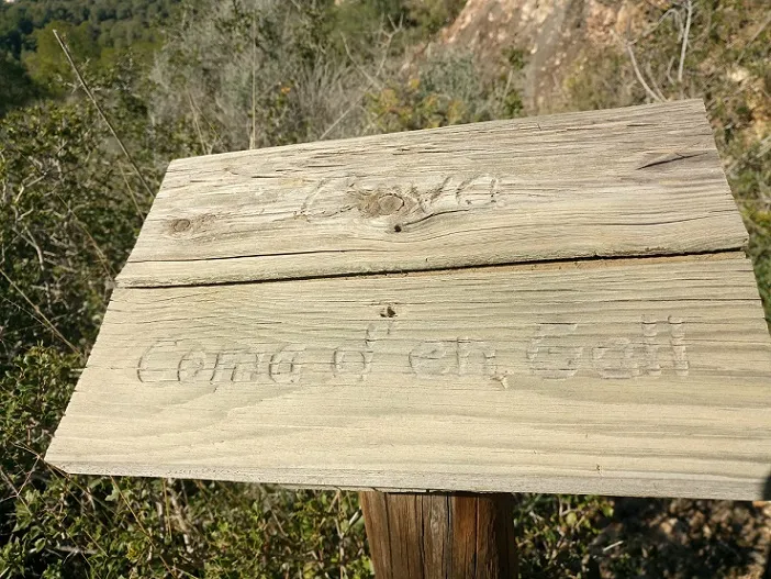 Cova de la Coma d'en Gall