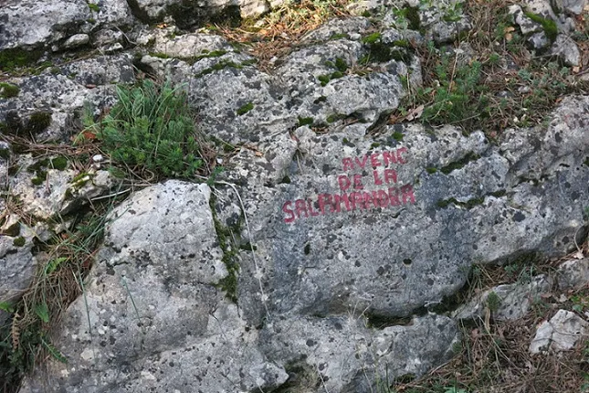 Avenc de la Salamandra