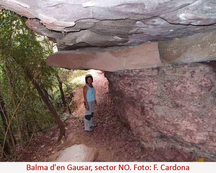 Balma d'en Gausar