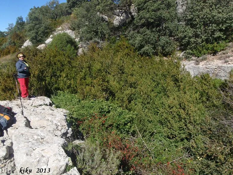 Avenc de la Gavarrera