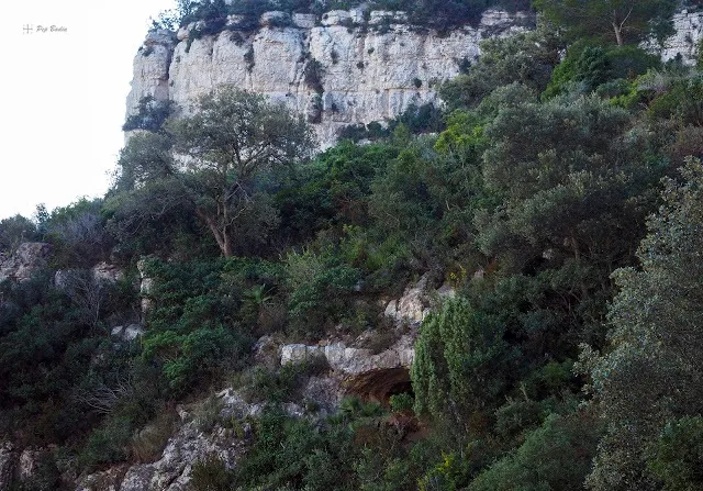 Cova del Bassiol