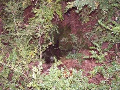 Forat de Chusa