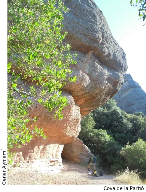 Cova de la Partió