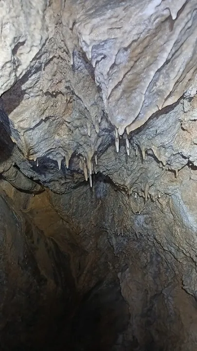Foto Tuta de Can Vinardell