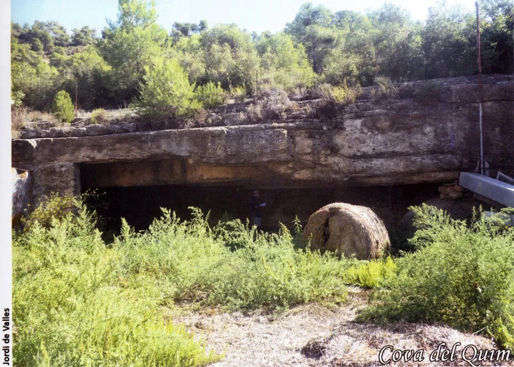 Cova del Quim