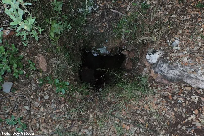 Avenc de l'Era dels Enrics