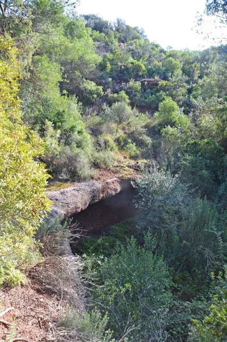 Balma Gran de Sanana
