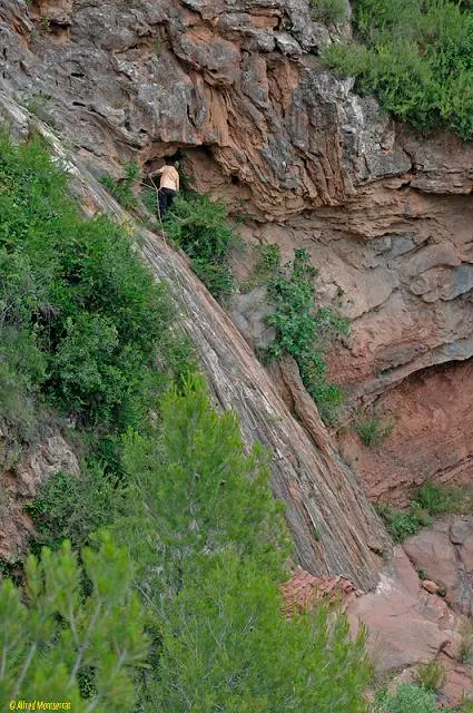 Cova del Prim