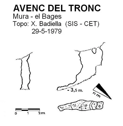 Avenc del Tronc