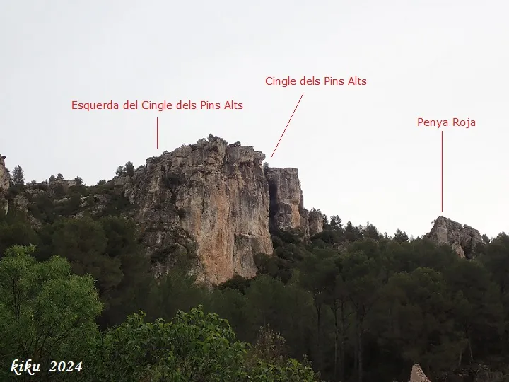 Esquerda del Cingle dels Pins Alts