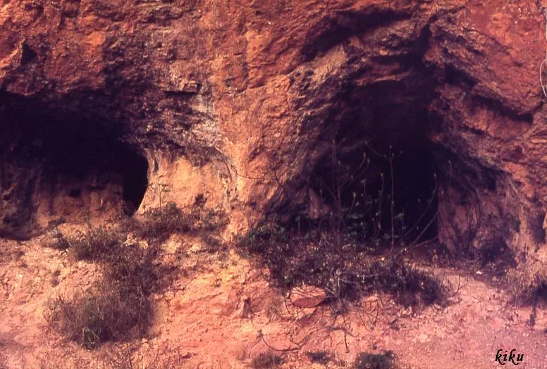 Cova de la Figuera
