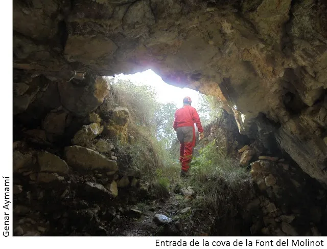 Cova de la Font del Molinot