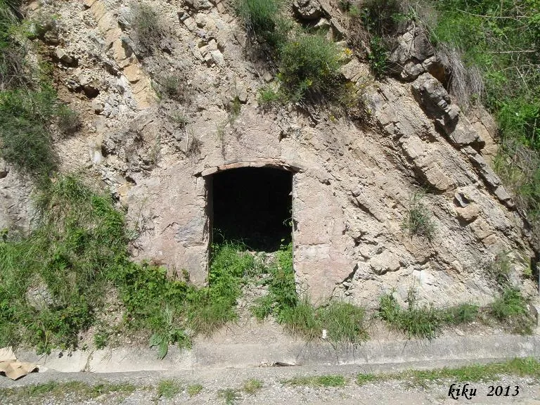 Cova Artigas