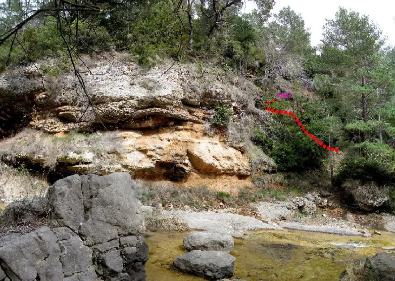 Cova del Molinot