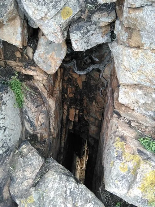 Cova Alta d'en Vitaia