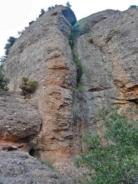 Cova de les Ginesteres